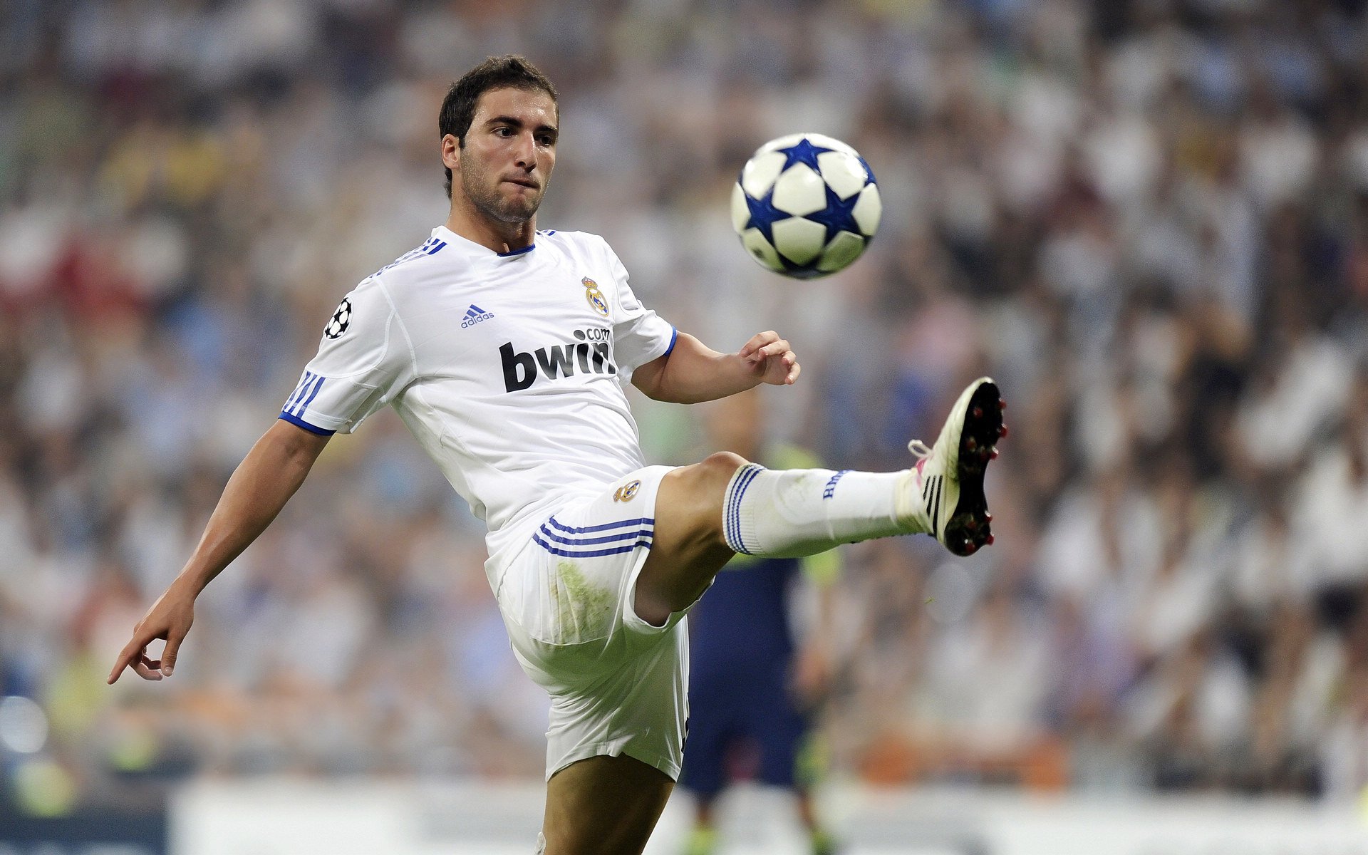 从戴维斯杯到拉沃尔杯，德约科维奇如何以唯一性重写网球历史