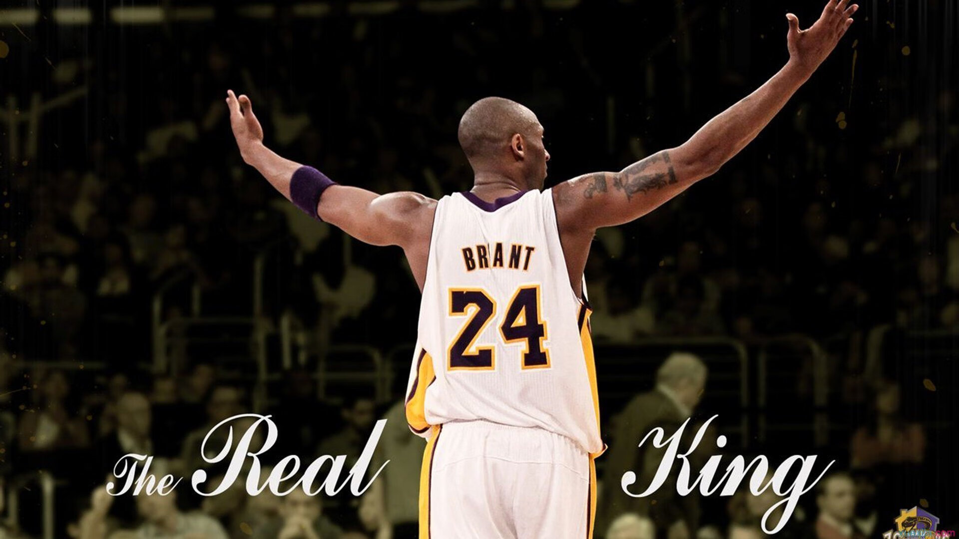 拉沃尔杯险胜澳网，阿尔卡拉斯状态火热，新一代网坛王者的崛起之路